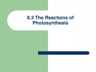 8.3 The Reactions of Photosynthesis