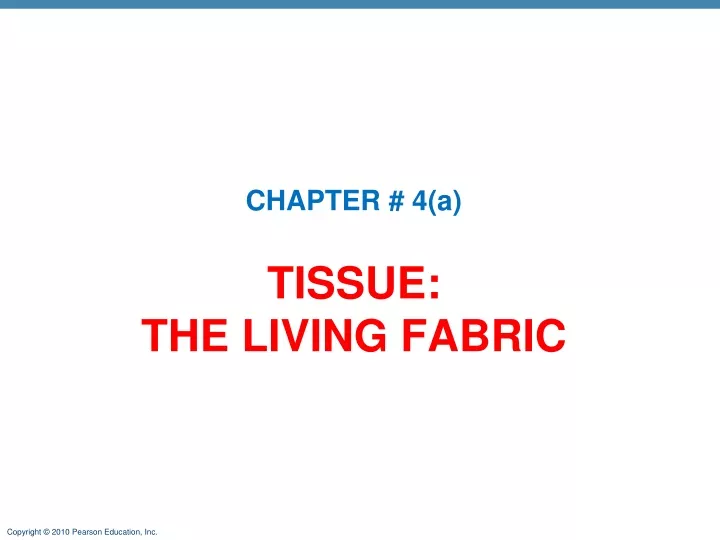 tissue the living fabric