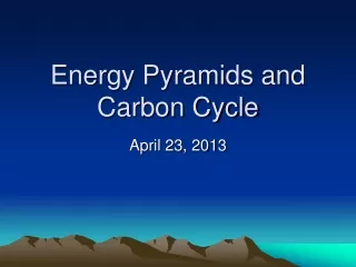 Energy Pyramids and Carbon Cycle