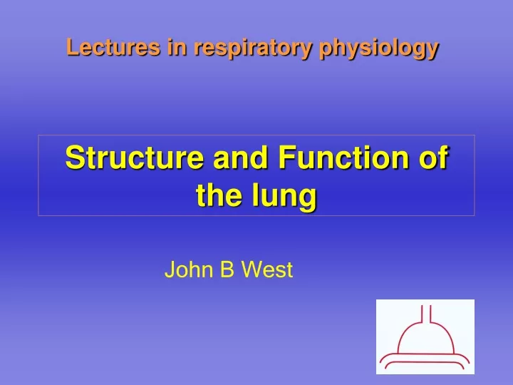 structure and function of the lung