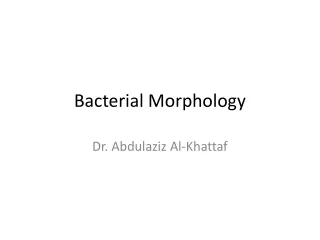 Bacterial Morphology