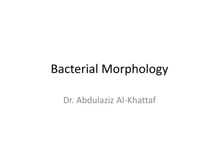 bacterial morphology