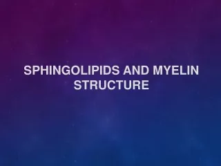 Sphingolipids and Myelin Structure