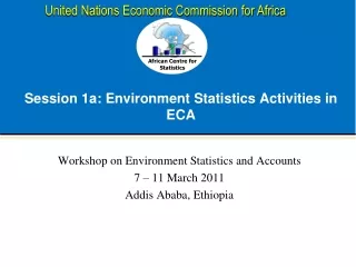 Session 1a: Environment Statistics Activities in ECA