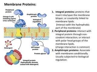 Membrane Proteins: