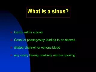 What is a sinus?