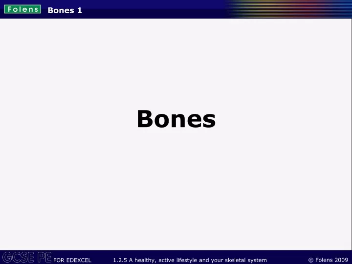 bones 1