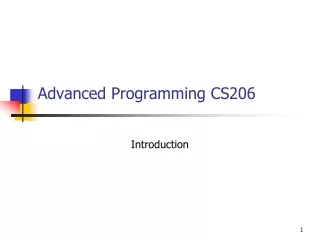Advanced Programming CS206