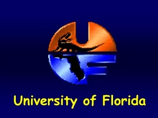 University of Florida