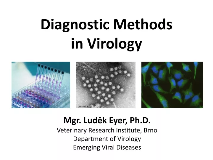 diagnostic methods in virology
