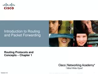 Introduction to Routing and Packet Forwarding