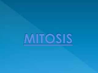 MITOSIS