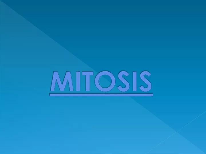 mitosis