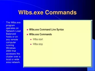 Wlbs.exe Commands