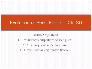 Evolution of Seed Plants – Ch. 30