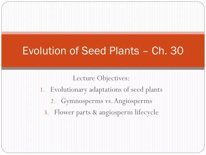 evolution of seed plants ch 30