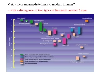 V. Are there intermediate links to modern humans?