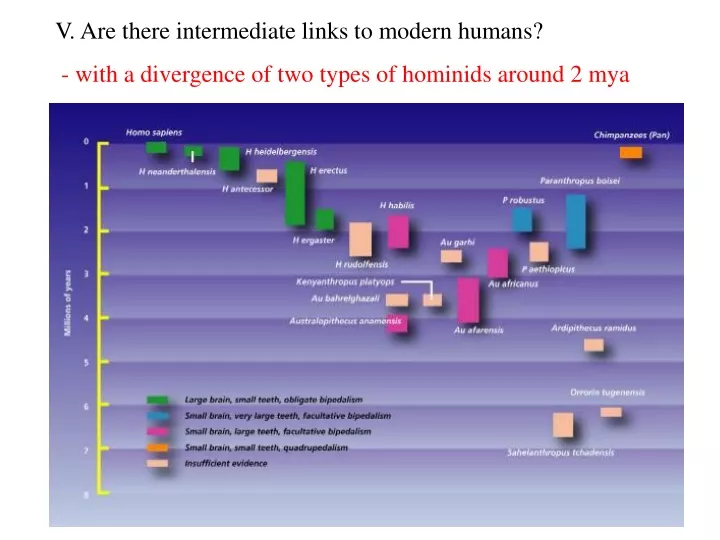 v are there intermediate links to modern humans