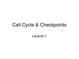 Cell Cycle &amp; Checkpoints