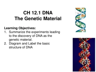 CH 12.1 DNA The Genetic Material