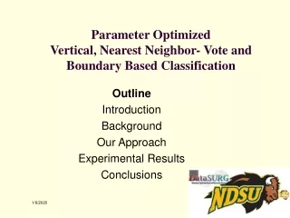 Parameter Optimized Vertical, Nearest Neighbor- Vote and  Boundary Based Classification