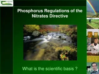 Phosphorus Regulations of the Nitrates Directive What is the scientific basis ?
