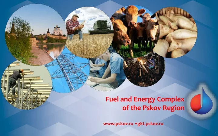 fuel and energy complex of the pskov region