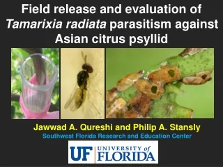 Jawwad A. Qureshi and Philip A. Stansly Southwest Florida Research and Education Center