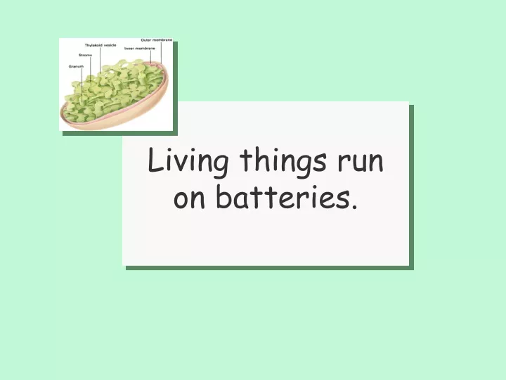 living things run on batteries