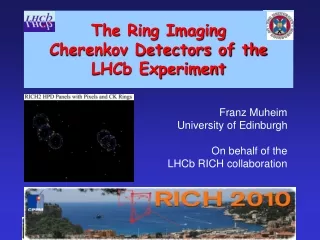 The Ring Imaging  Cherenkov Detectors of the  LHCb Experiment