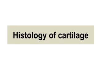 Histology of cartilage