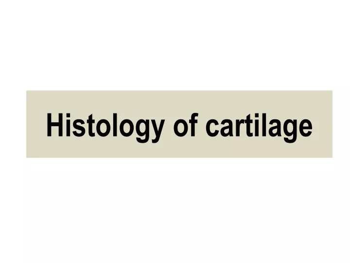 histology of cartilage