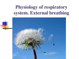 Physiology of respiratory system. External breathing