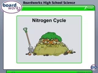 Why is nitrogen so important?