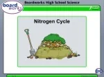 The Vital Role of Nitrogen in Plant Growth and Soil Fertility - slide 1