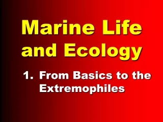 Marine Life and Ecology