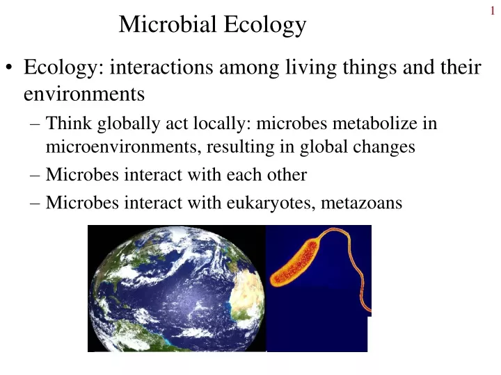 microbial ecology