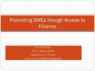 Promoting SMEs though Access to Finance