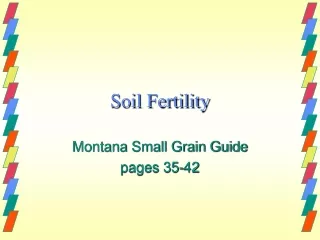 Soil Fertility