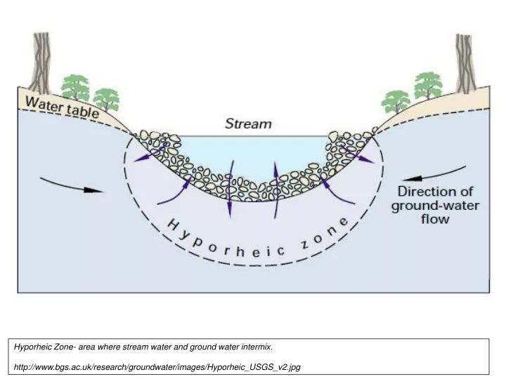 hyporheic zone area where stream water and ground