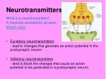 PPT - Neurotransmitters PowerPoint Presentation, free download - ID:2245033