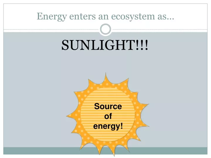 energy enters an ecosystem as