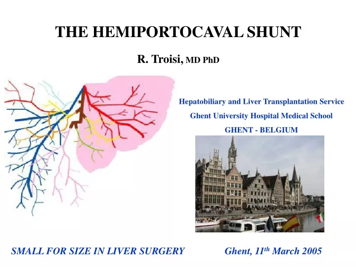 the hemiportocaval shunt r troisi md phd