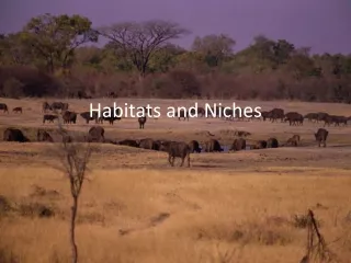 Habitats and Niches