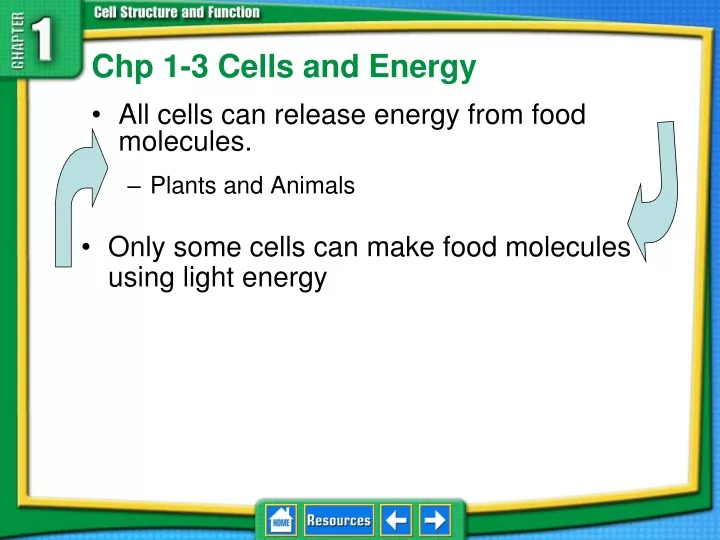 chp 1 3 cells and energy