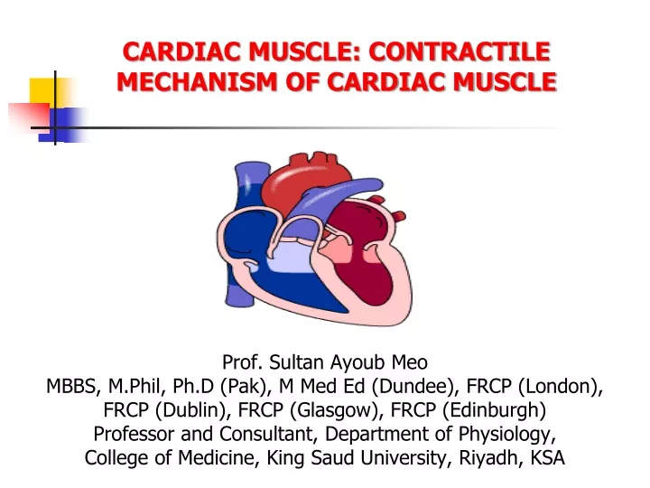 cardiac muscle contractile mechanism of cardiac