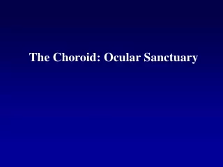 The Choroid: Ocular Sanctuary