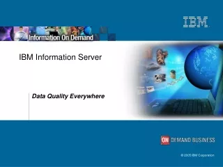 IBM Information Server
