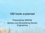 GM foods explained - slide 1