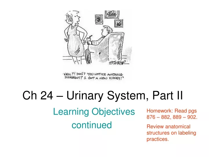 ch 24 urinary system part ii